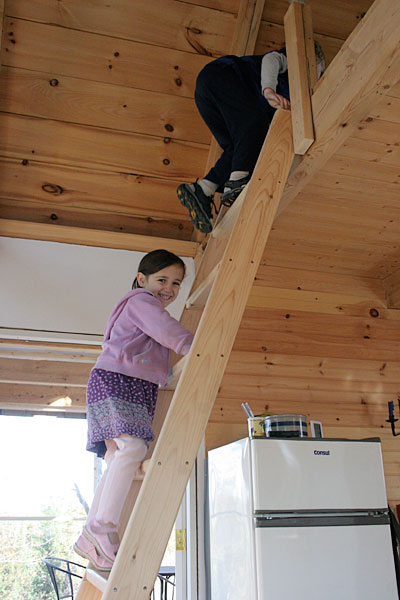 wooden ladder plans